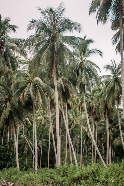 Palawan North Loop - 3 Days 2 Nights Expedition